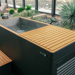 6 Person Traditional Sauna & Luxury Plunge by REVIVE - Best Cold Plunge Tubs - REVIVE