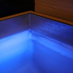 6 Person Traditional Sauna & Luxury Plunge by REVIVE - Best Cold Plunge Tubs - REVIVE